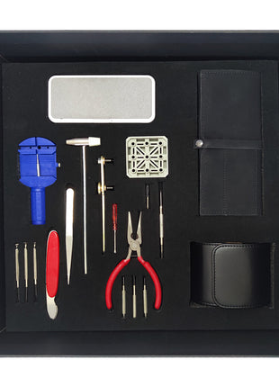 Professional Watch Care Kit